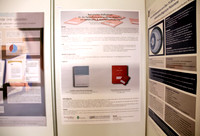 Posterpräsentation ÖGKV 2017