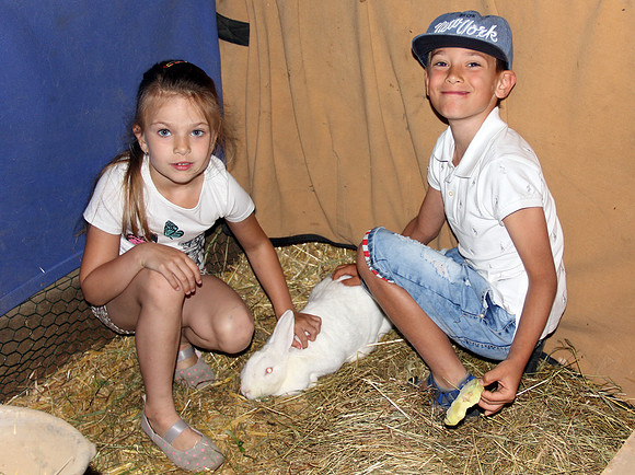 Sommerfest "Wörtlbauer"