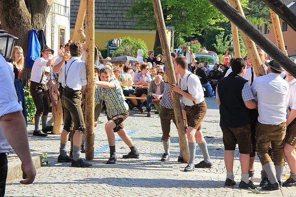 01.05.2014 Maibaumaufstellen Bad Vigaun
