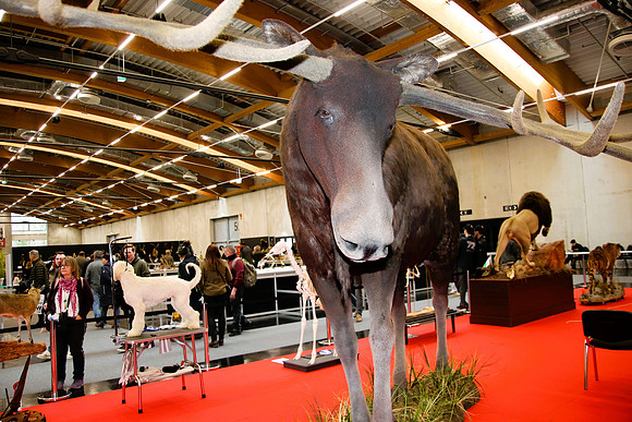 Hohe Jagd & Fischerei