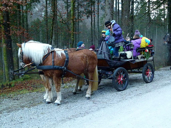 Letzter Adventspaziergang 2016