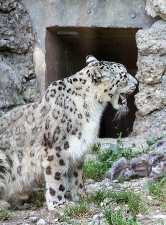 Zoo Salzburg