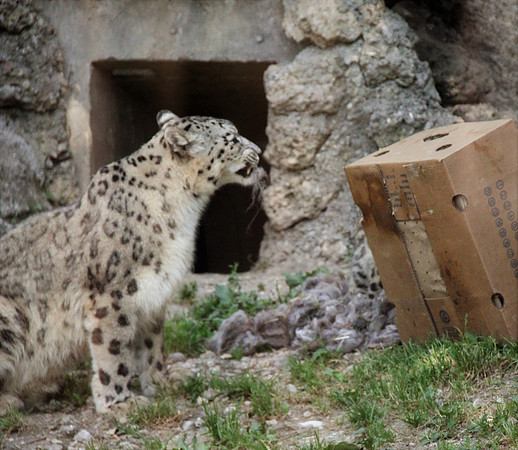 Zoo Salzburg