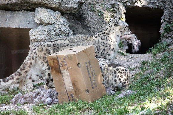 Zoo Salzburg