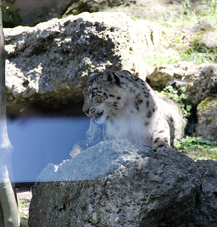 Zoo Salzburg