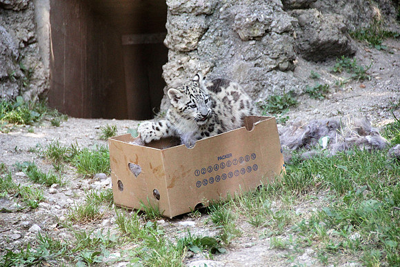 Zoo Salzburg