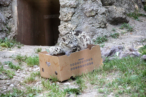Zoo Salzburg