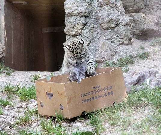 Zoo Salzburg