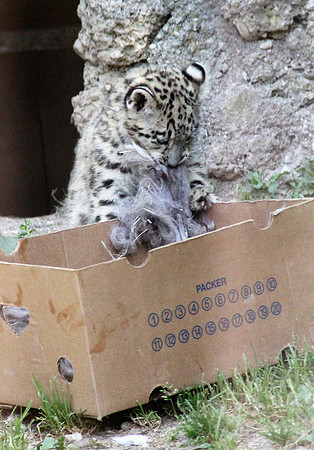 Zoo Salzburg