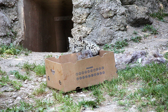 Zoo Salzburg
