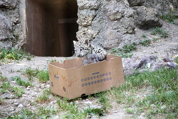 Zoo Salzburg