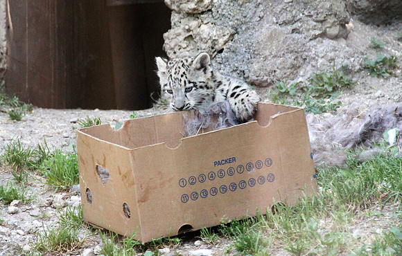 Zoo Salzburg
