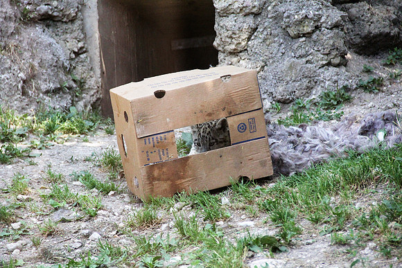 Zoo Salzburg