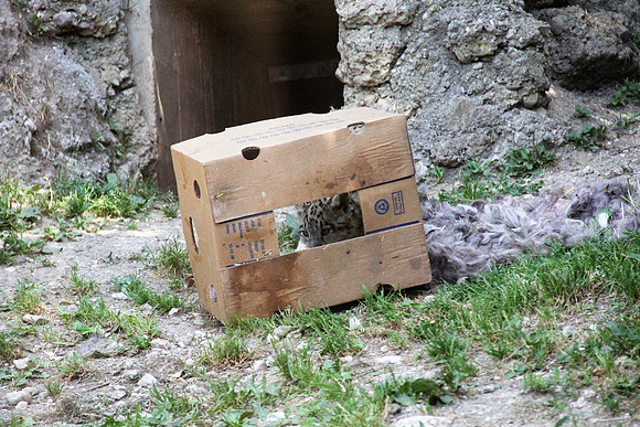 Zoo Salzburg