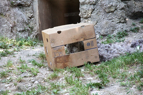 Zoo Salzburg