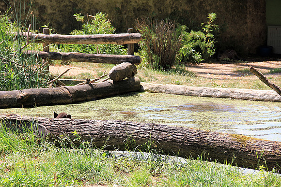 Zoo Salzburg