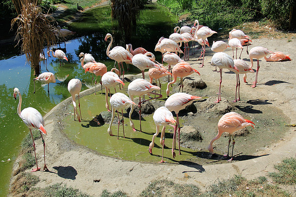 Zoo Salzburg