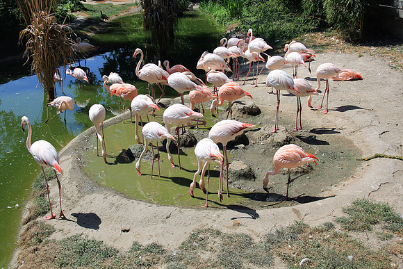 Zoo Salzburg