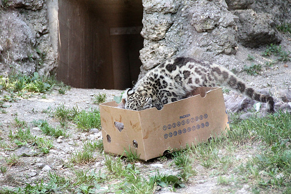 Zoo Salzburg