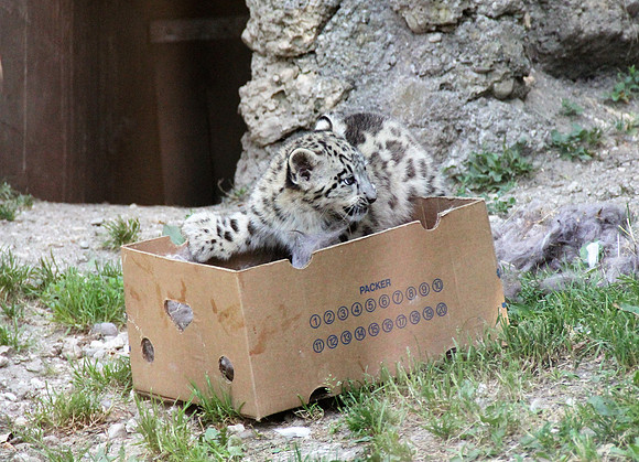 Zoo Salzburg