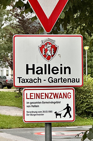 Hochwasserlage Tennengau