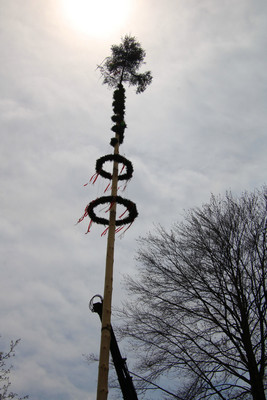 Maibaumaufstellen in Kuchl 2021