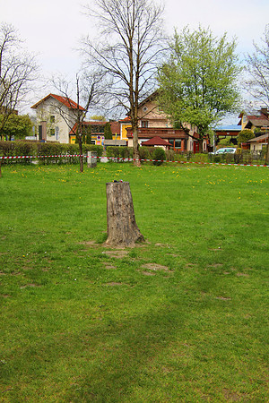 Maibaumaufstellen in Kuchl 2021