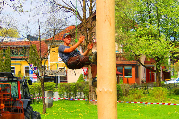 Maibaumaufstellen in Kuchl 2021
