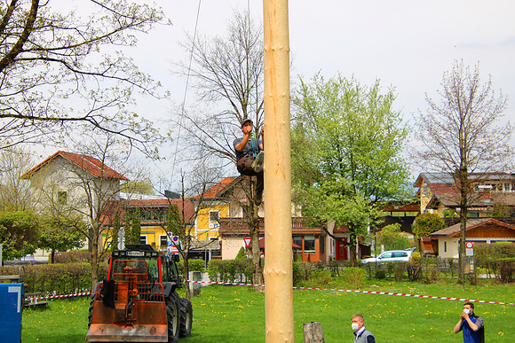 Maibaumaufstellen in Kuchl 2021