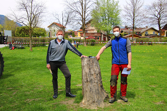 Maibaumaufstellen in Kuchl 2021