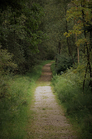 Heilmoor Neyharting