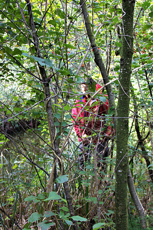 Heilmoor Neyharting