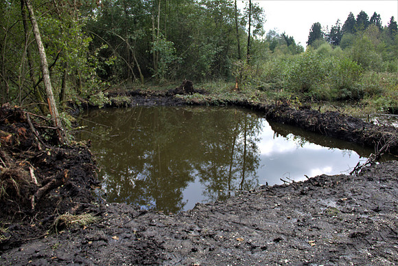 Heilmoor Neyharting