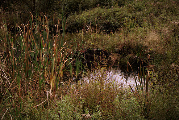 Heilmoor Neyharting