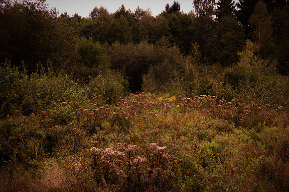 Heilmoor Neyharting
