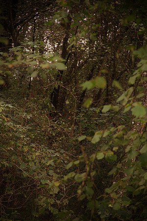 Heilmoor Neyharting