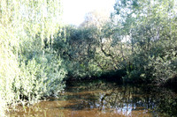 Naturwelt Neydharting