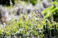 Naturwelt Neydharting