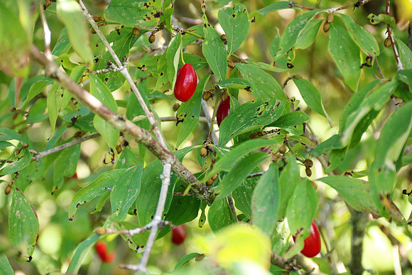 Naturwelt Neydharting