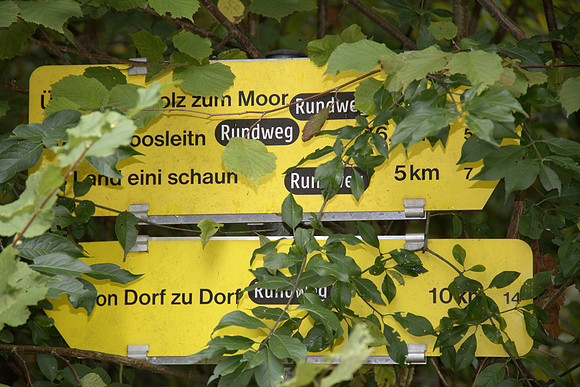 Heilmoor Neyharting