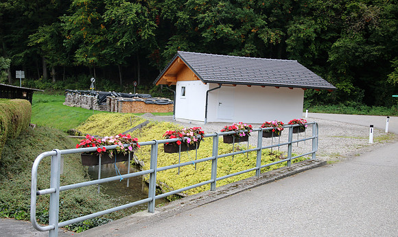 Herbst in Neydharting