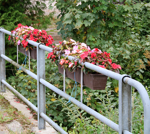 Herbst in Neydharting
