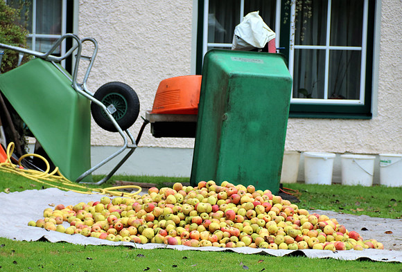 Herbst in Neydharting