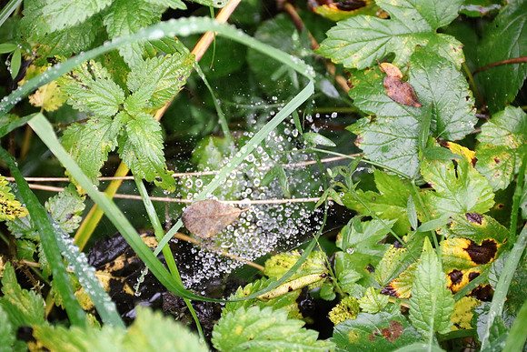 Herbst in Neydharting