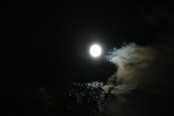 Zunehmender Vollmond