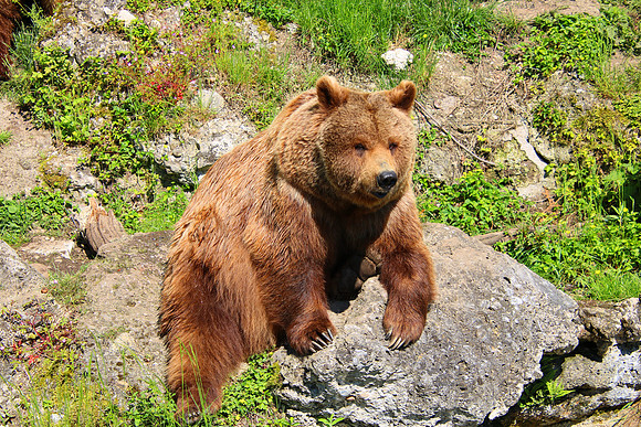 01.06.2021 - Die schönsten Stunden aus dem Zoo Salzburg.