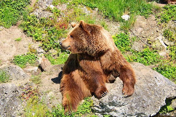 01.06.2021 - Die schönsten Stunden aus dem Zoo Salzburg.