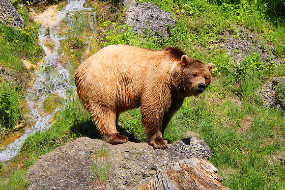 01.06.2021 - Die schönsten Stunden aus dem Zoo Salzburg.