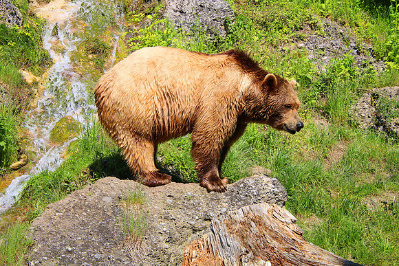 01.06.2021 - Die schönsten Stunden aus dem Zoo Salzburg.