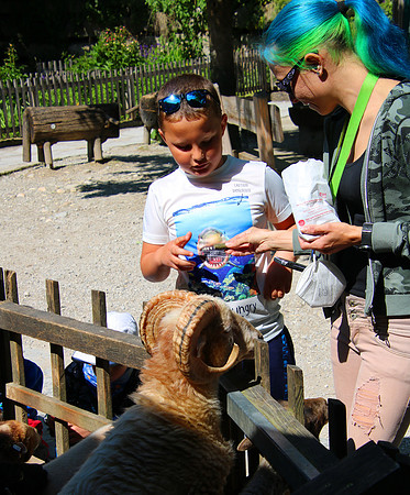 01.06.2021 - Die schönsten Stunden aus dem Zoo Salzburg.